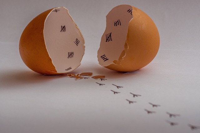 Surrogacy & Egg Donation: A Guide for Gay Couples Building Families