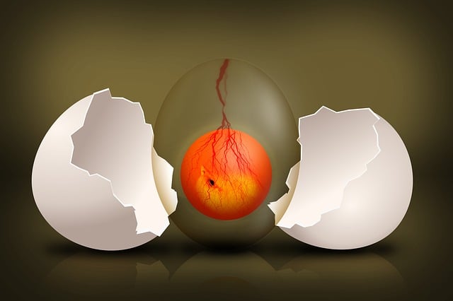Navigating Egg Donation Options for Same-Sex Families