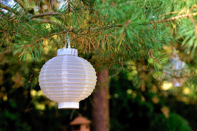 lighting-640x480-73826387.jpeg