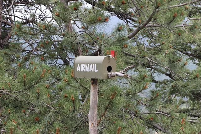 Robust Custom Mailboxes: Design Solutions for Durability & Beauty