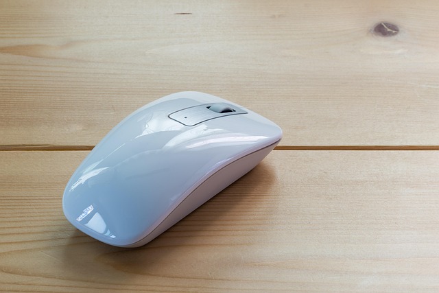 mouse-640x480-67739026.jpeg
