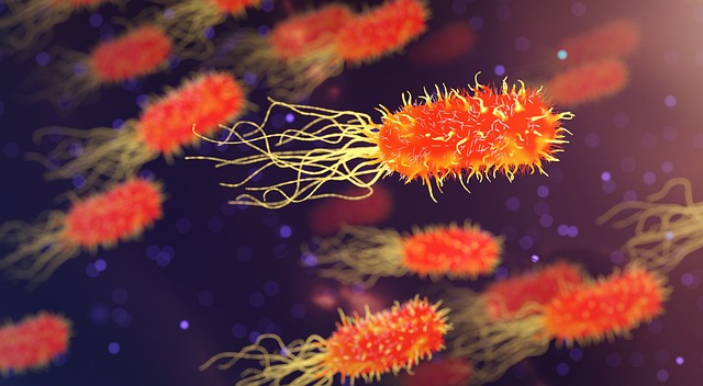 Stem Cell Injections: Revolutionizing Spinal Disc Degeneration Treatment for Arthritis Relief