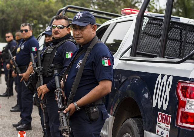 Global VIP Security: Safeguarding Cross-Border Data Transmissions