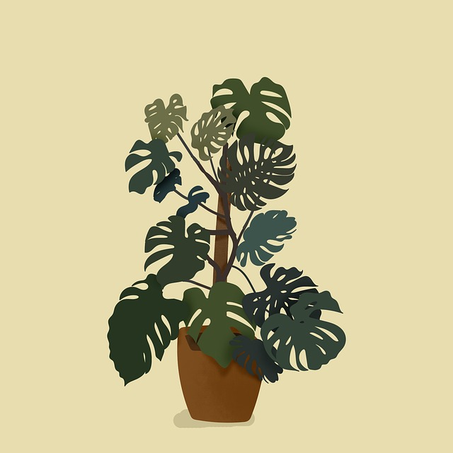 personalized-indoor-garden-640x480-14418152.jpeg