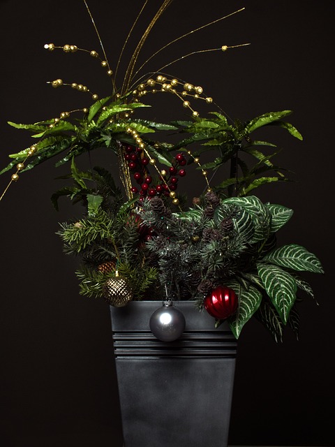 Elevate Your Indoor Jungle: Hanging Plants & Creative Shelf Displays