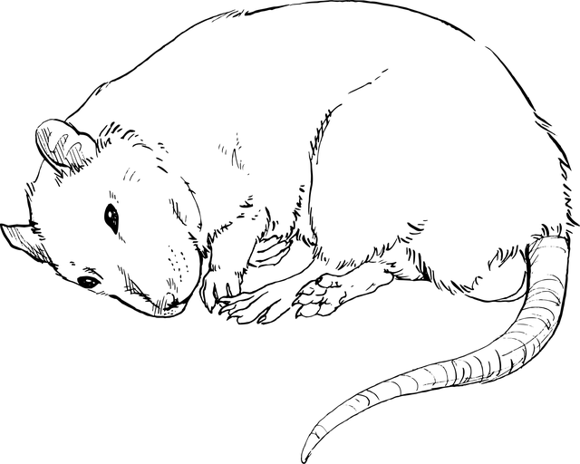 pest-640x480-72832658.png