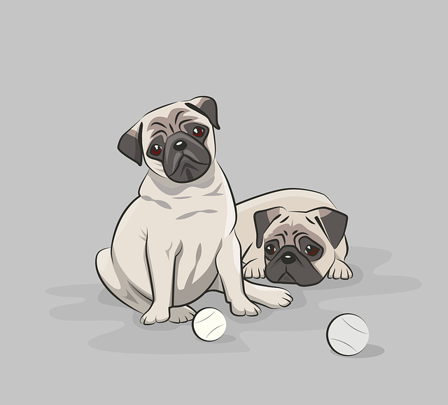 pet-sitting-640x480-45738402.png
