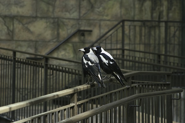 railing-640x480-71720651.jpeg