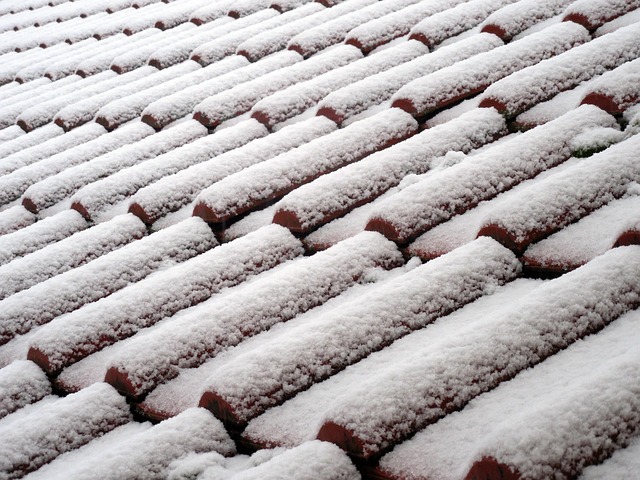 roof-640x480-13005408.jpeg