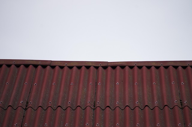 roof-640x480-26201661.jpeg