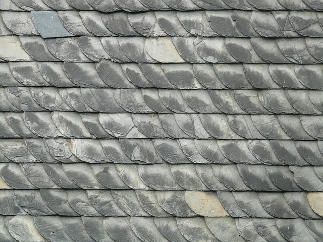 roof-640x480-35191784.jpeg