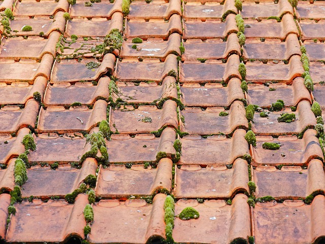 Prevent Home Issues: Comprehensive Gutter Repair & Maintenance Plans