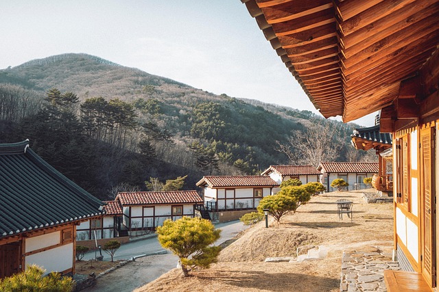 roof-640x480-79725221.jpeg