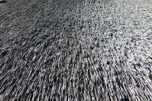 Elastomeric Coatings: The Ultimate Roof Waterproofing Solution