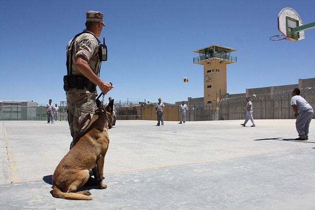 security-guard-640x480-12388815.jpeg