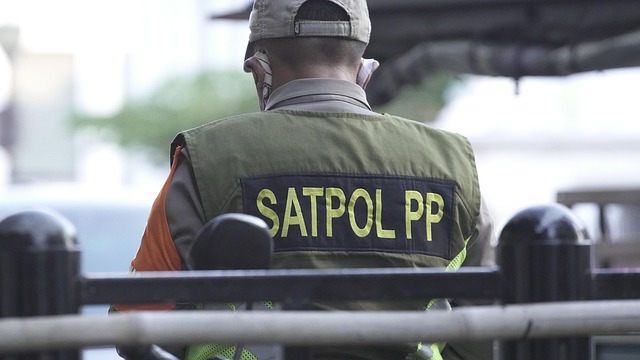 security-guard-640x480-15623036.jpeg