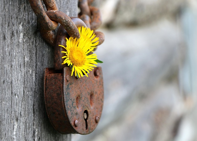 Personal Security Services: Comprehensive Executive Protection for Corporate Peace of Mind