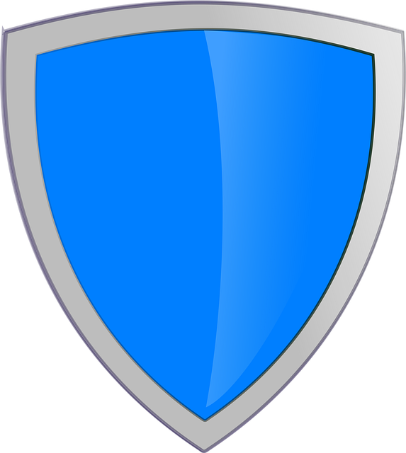 Secure Family Vacations & International Travel: Expert Tips on Close Protection