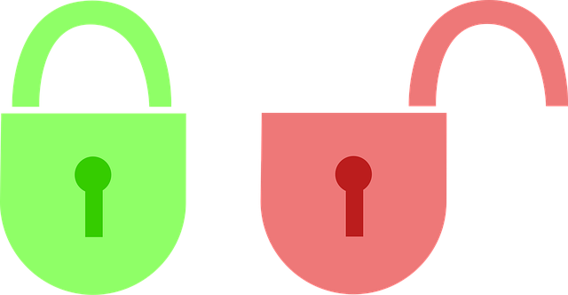 VIP Protection for Families: Safeguarding Children Across All Activities