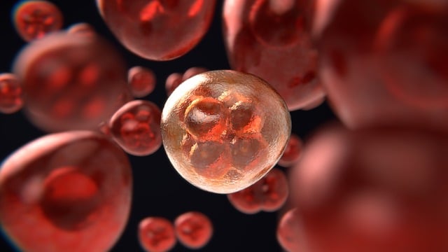 Unleashing Orthopedic Repair: Exploring Stem Cell Types and Therapies
