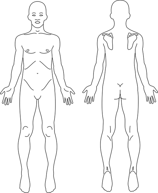 thoracic-mri-640x480-43097581.png