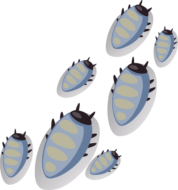 ticks-640x480-15241028.png
