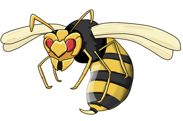 wasp-640x480-96082666.png
