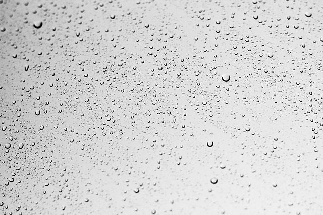 window-640x480-90484284.jpeg