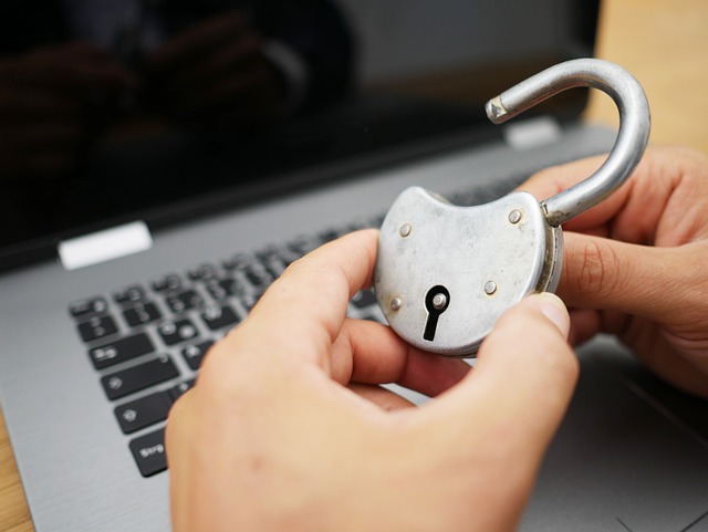 IP Security Cameras: Unveiling Discreet Surveillance Technologies