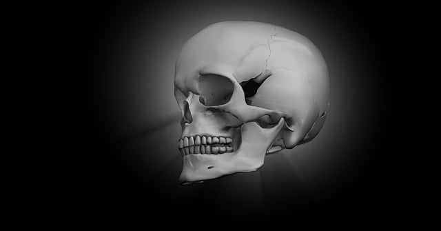 ai-powered-3d-medical-imaging-640x480-10531628.jpeg