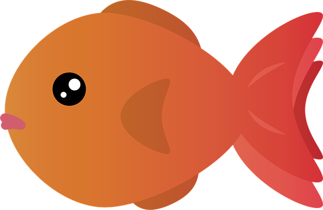 aquarium-fabrication-services-640x480-27602740.png