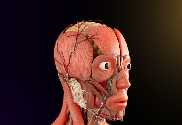 botox-for-muscle-spasms-640x480-45636588.jpeg