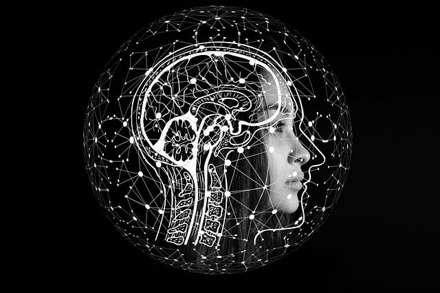 Cerebral Angiography: Revolutionizing Neurosurgical Planning with 3D Brain Mapping
