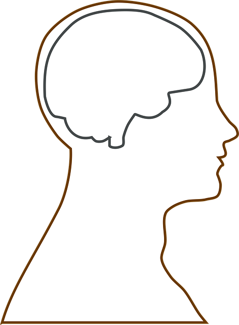 Unveiling Brain Function: The Role of SPECT Scans in MRI Analysis