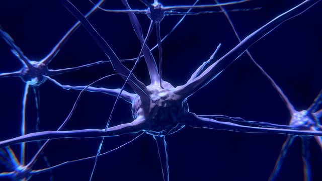 brain-tumor-imaging-640x480-96182105.jpeg