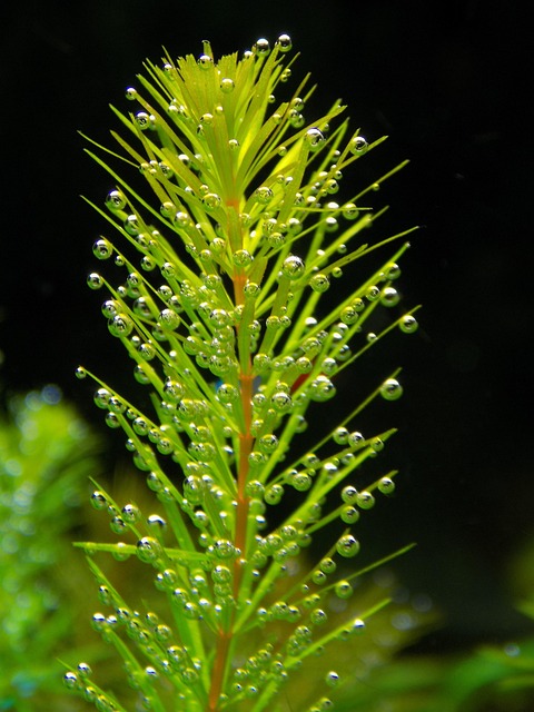 business-aquarium-installations-640x480-30862002.jpeg