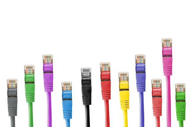 Structured Cabling Solutions: Future-Proof Your Business Growth