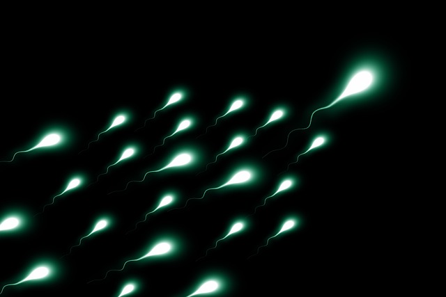 cartilage-regeneration-with-stem-cell-640x480-6401294.jpeg