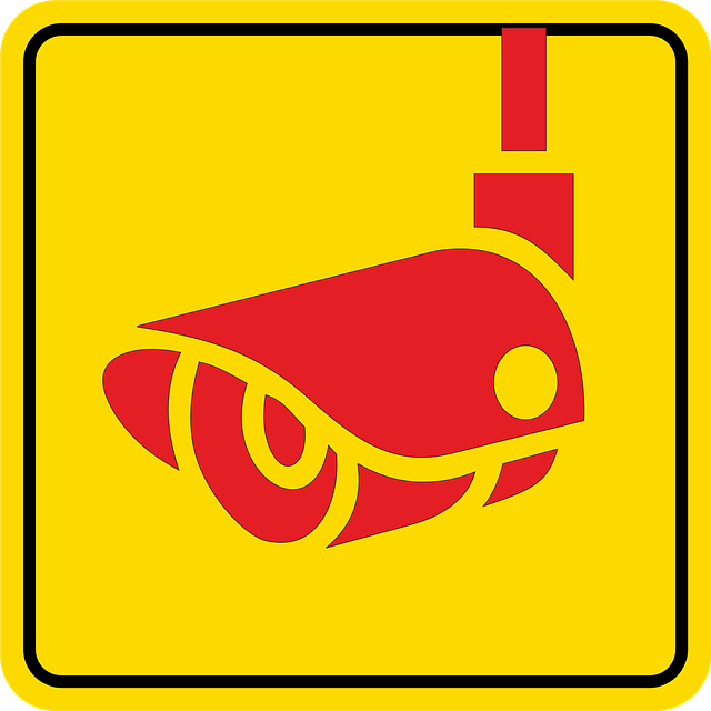 cctv-surveillance-systems-640x480-17812689.png