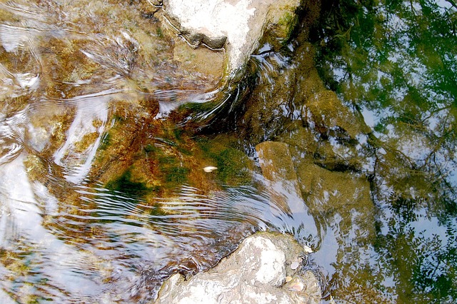 crystal-clear-glass-tanks-640x480-25935027.jpeg