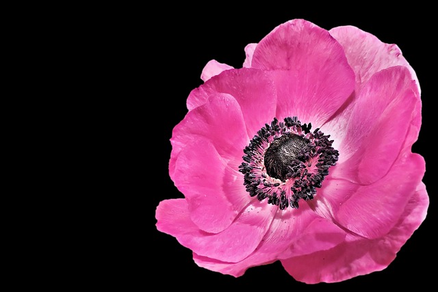 ct-scan-with-contrast-640x480-55038558.jpeg