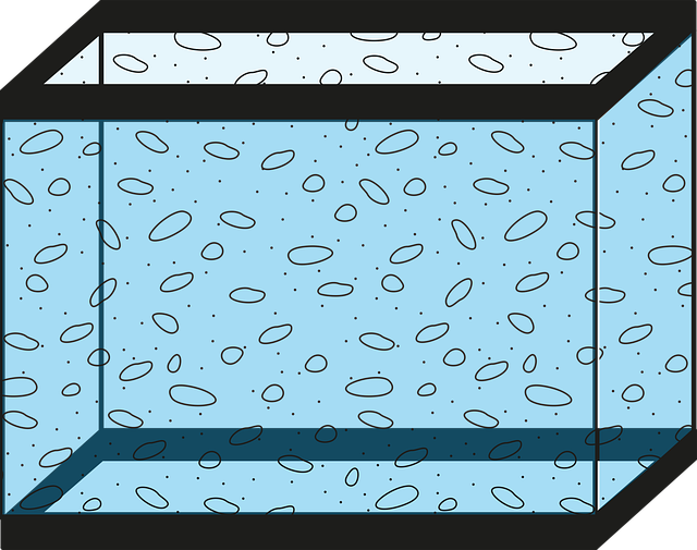 custom-acrylic-fish-tanks-640x480-78258236.png