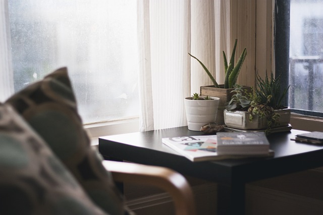custom-home-plant-styling-640x480-71759846.jpeg