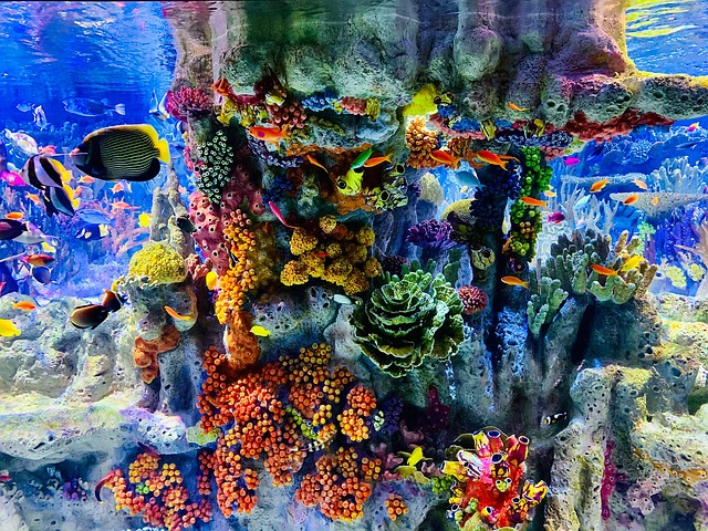 custom-nano-fish-tanks-640x480-60151184.jpeg
