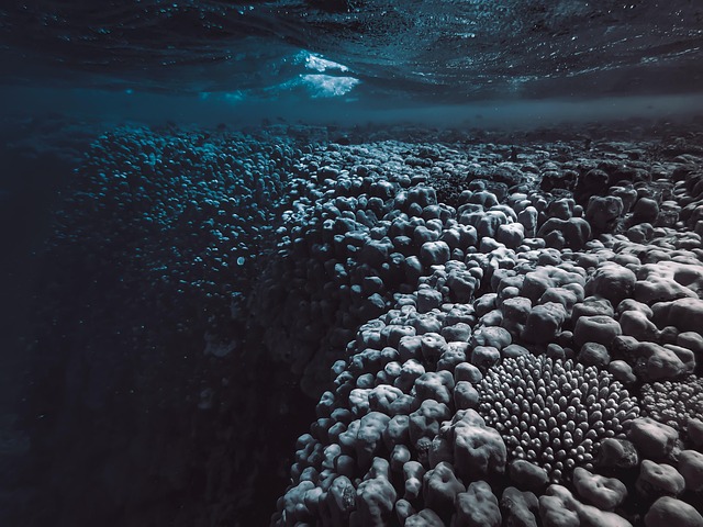 custom-reef-aquariums-640x480-92118600.jpeg
