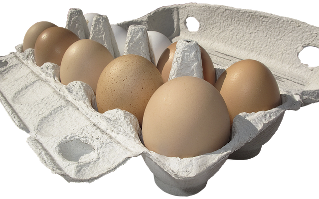 donor-egg-ivf-success-rates-640x480-8342502.png