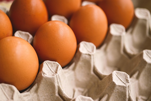 Emotional Support for Women Using Donor Eggs in Fertility Treatment