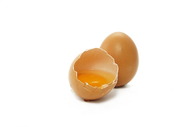 donor-egg-ivf-success-rates-640x480-89817404.jpeg