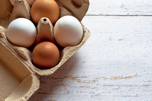 donor-eggs-for-late-motherhood-640x480-21074274.jpeg