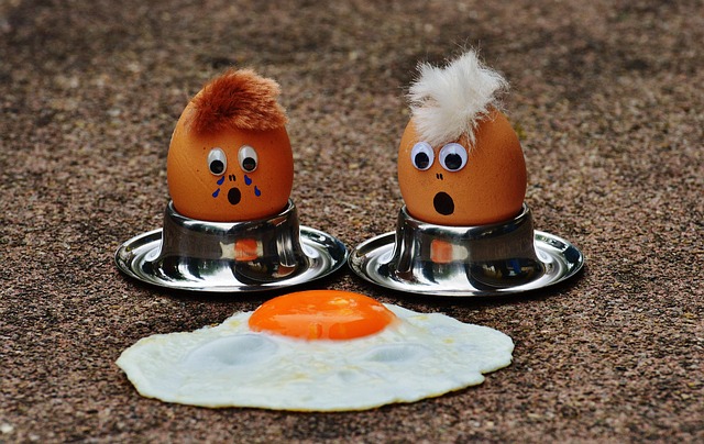 Donor Eggs for Pregnancy: Unraveling Financial Planning Costs